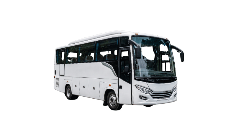 Medium Bus Pariwisata